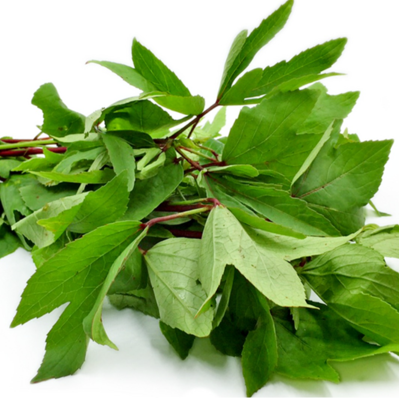 Sorrel Leaves bunch 250g Main Image